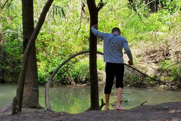 הפרעת קשב וריכוז והיפראקטיביות – ניתוח מעמיק