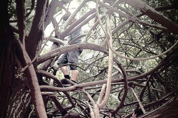 שיחה עם ילד בן 11