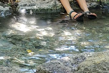 תהליכים הגורמים להפרעות התפתחות מקורם באי חיבור בין הגופים