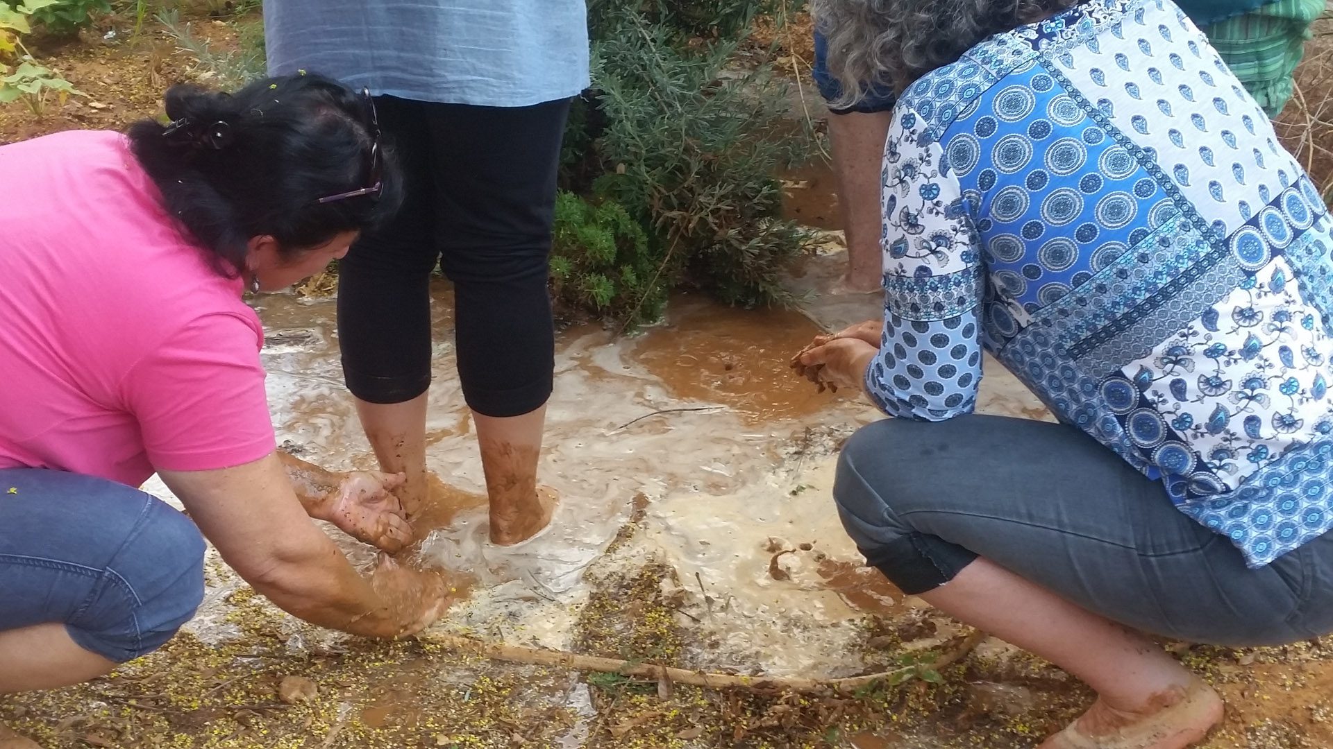 מפגשי הורים1