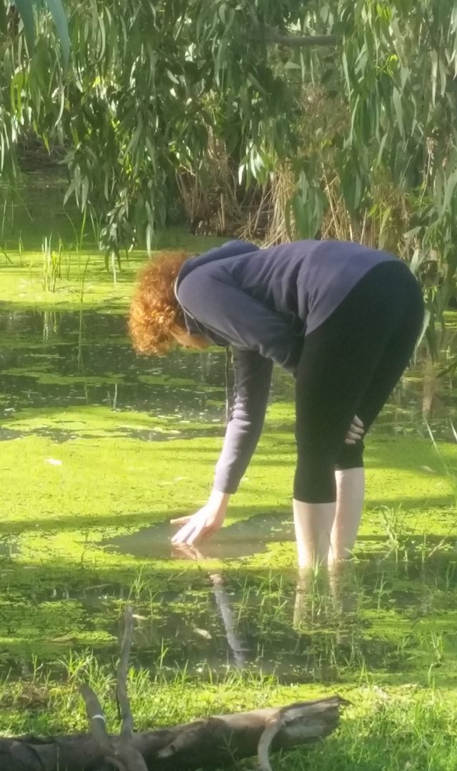 מפגשי הורים22