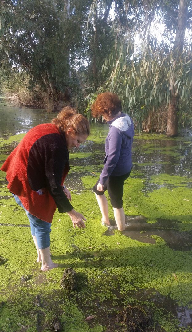 מפגשי הורים23